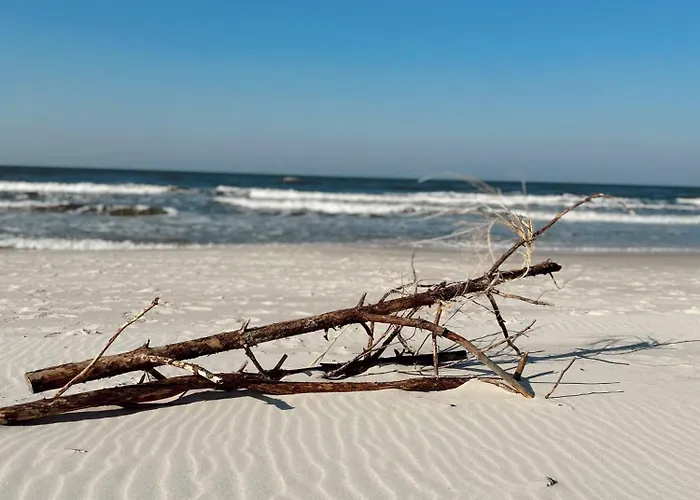 Semesterbostad Przy Lesie *